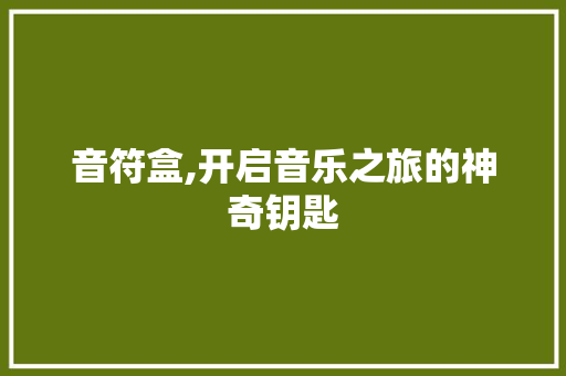 音符盒,开启音乐之旅的神奇钥匙 SEO教程