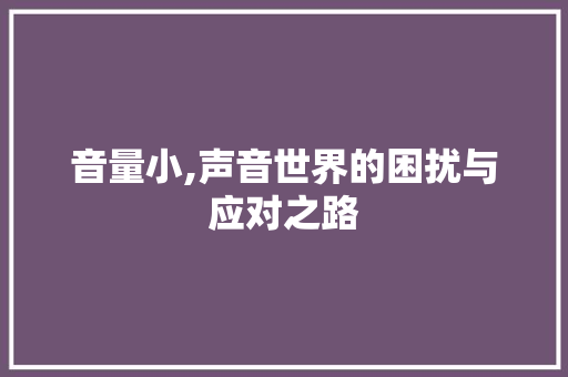 音量小,声音世界的困扰与应对之路