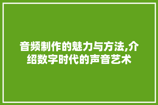 音频制作的魅力与方法,介绍数字时代的声音艺术
