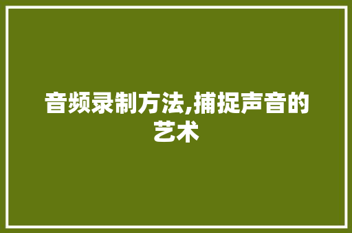 音频录制方法,捕捉声音的艺术