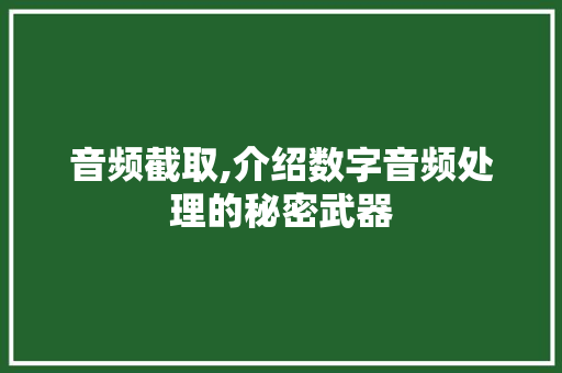 音频截取,介绍数字音频处理的秘密武器