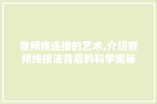 音频线连接的艺术,介绍音频线接法背后的科学奥秘 服务器/数据库