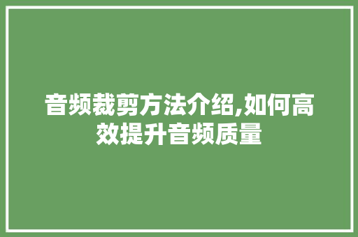音频裁剪方法介绍,如何高效提升音频质量 服务器/数据库