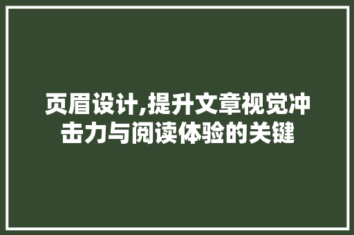 页眉设计,提升文章视觉冲击力与阅读体验的关键