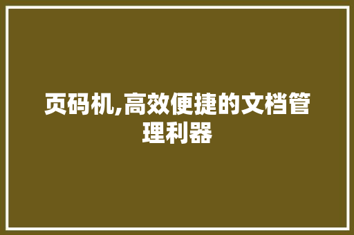 页码机,高效便捷的文档管理利器
