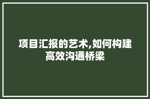 项目汇报的艺术,如何构建高效沟通桥梁 服务器/数据库