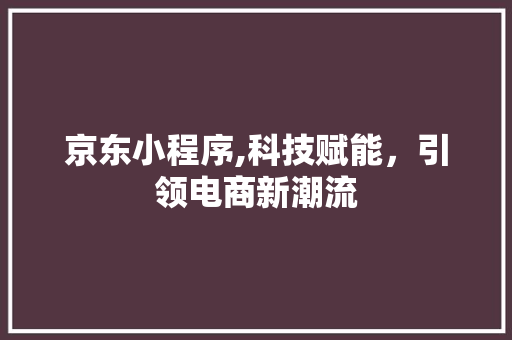 京东小程序,科技赋能，引领电商新潮流