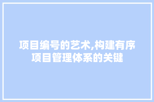 项目编号的艺术,构建有序项目管理体系的关键