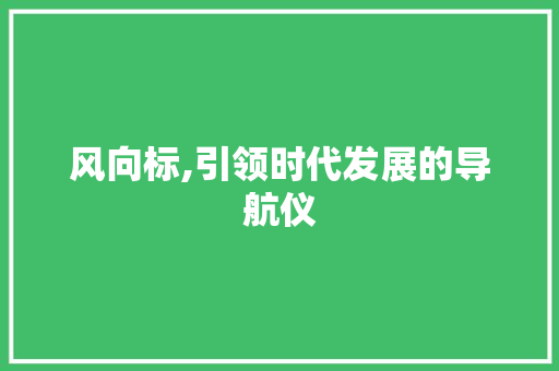 风向标,引领时代发展的导航仪