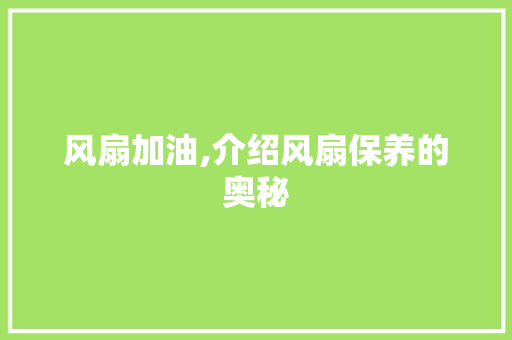 风扇加油,介绍风扇保养的奥秘