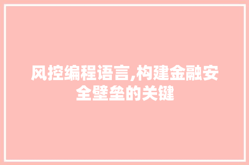 风控编程语言,构建金融安全壁垒的关键