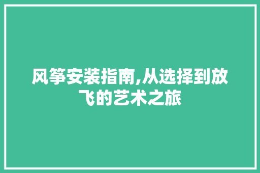 风筝安装指南,从选择到放飞的艺术之旅