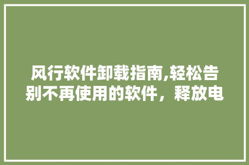 风行软件卸载指南,轻松告别不再使用的软件，释放电脑空间 Web前端