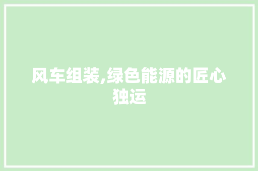 风车组装,绿色能源的匠心独运