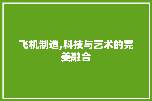 飞机制造,科技与艺术的完美融合