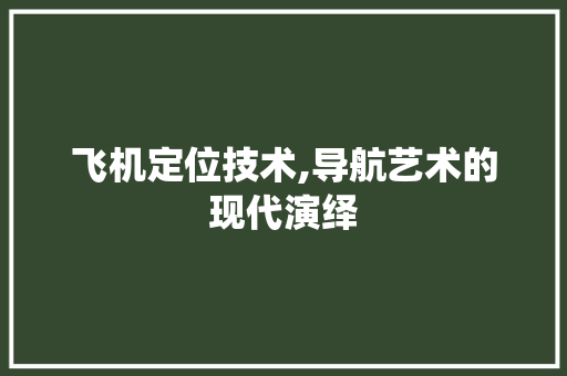 飞机定位技术,导航艺术的现代演绎