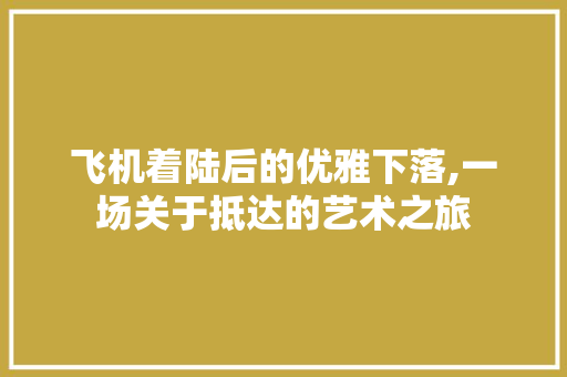 飞机着陆后的优雅下落,一场关于抵达的艺术之旅