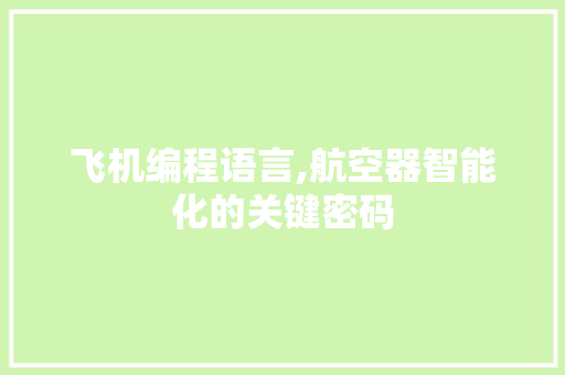 飞机编程语言,航空器智能化的关键密码