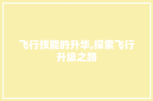 飞行技能的升华,探索飞行升级之路 Web前端