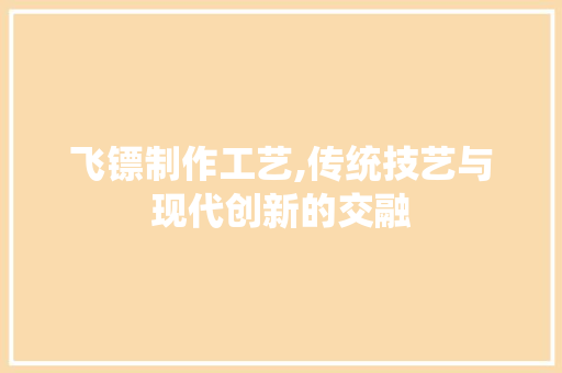 飞镖制作工艺,传统技艺与现代创新的交融