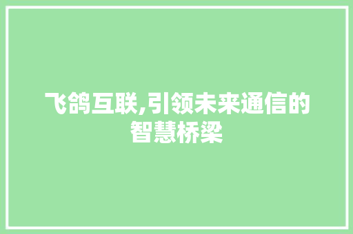 飞鸽互联,引领未来通信的智慧桥梁