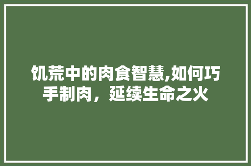 饥荒中的肉食智慧,如何巧手制肉，延续生命之火 Web前端