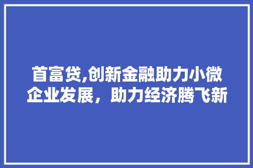 首富贷,创新金融助力小微企业发展，助力经济腾飞新引擎