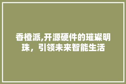 香橙派,开源硬件的璀璨明珠，引领未来智能生活
