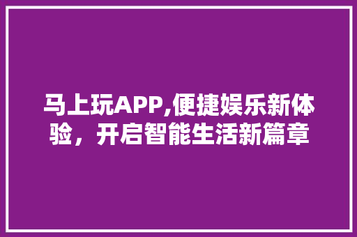 马上玩APP,便捷娱乐新体验，开启智能生活新篇章 服务器/数据库
