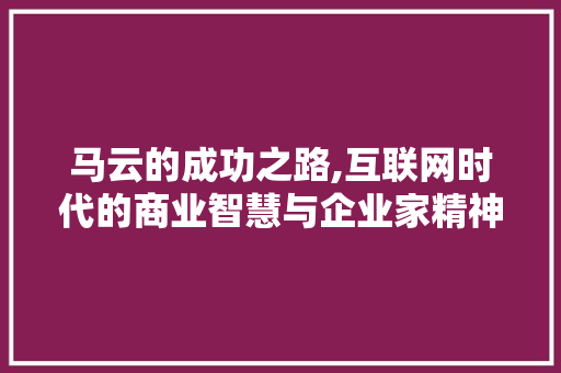 马云的成功之路,互联网时代的商业智慧与企业家精神
