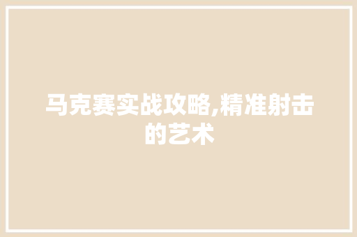 马克赛实战攻略,精准射击的艺术 服务器/数据库