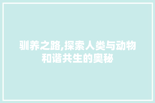 驯养之路,探索人类与动物和谐共生的奥秘 Web前端