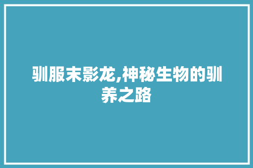 驯服末影龙,神秘生物的驯养之路 服务器/数据库