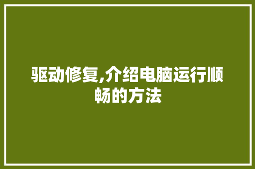 驱动修复,介绍电脑运行顺畅的方法
