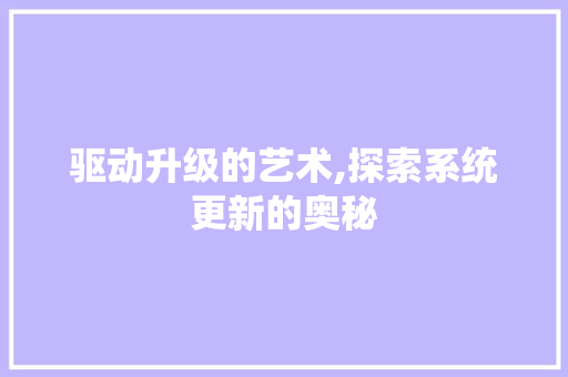 驱动升级的艺术,探索系统更新的奥秘