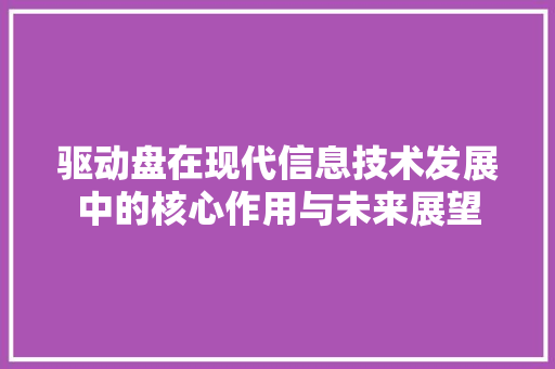驱动盘在现代信息技术发展中的核心作用与未来展望 WordPress教程