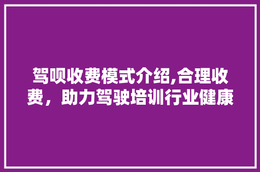 驾呗收费模式介绍,合理收费，助力驾驶培训行业健康发展 WordPress教程