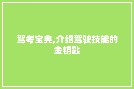 驾考宝典,介绍驾驶技能的金钥匙 建站教程