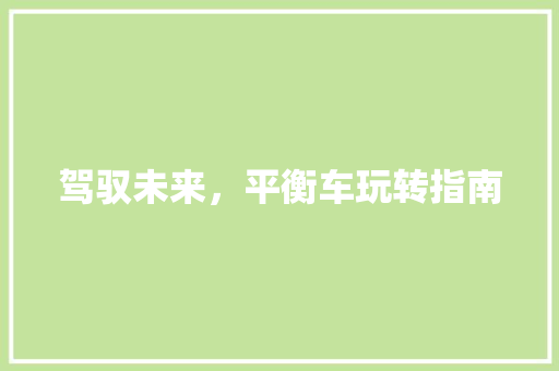 驾驭未来，平衡车玩转指南
