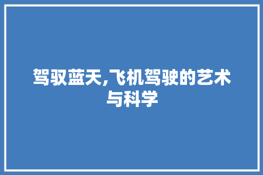 驾驭蓝天,飞机驾驶的艺术与科学 服务器/数据库