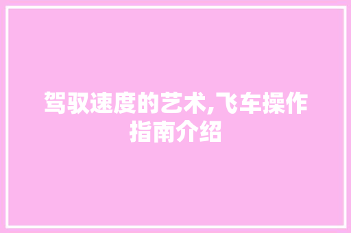 驾驭速度的艺术,飞车操作指南介绍
