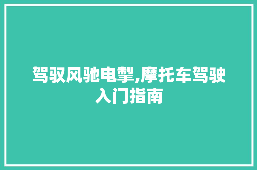 驾驭风驰电掣,摩托车驾驶入门指南 友链在线