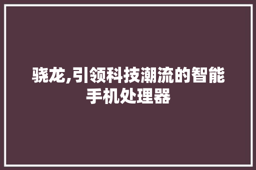 骁龙,引领科技潮流的智能手机处理器