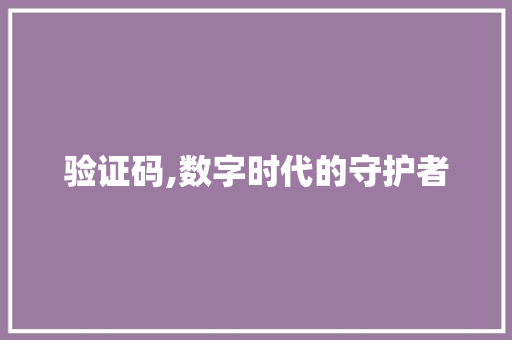 验证码,数字时代的守护者
