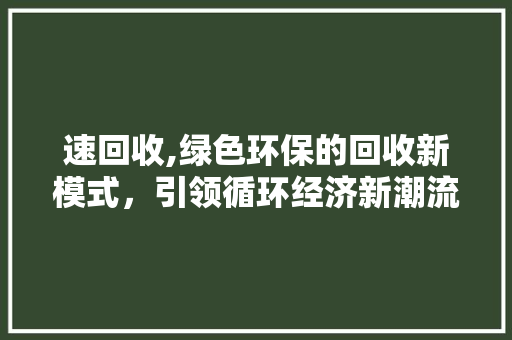 速回收,绿色环保的回收新模式，引领循环经济新潮流 建站教程