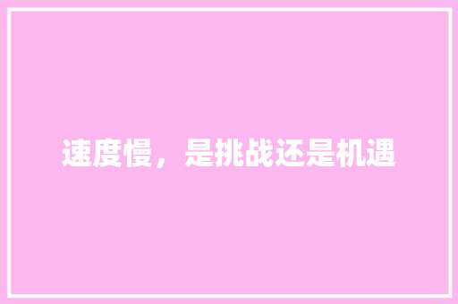 速度慢，是挑战还是机遇 SEO教程