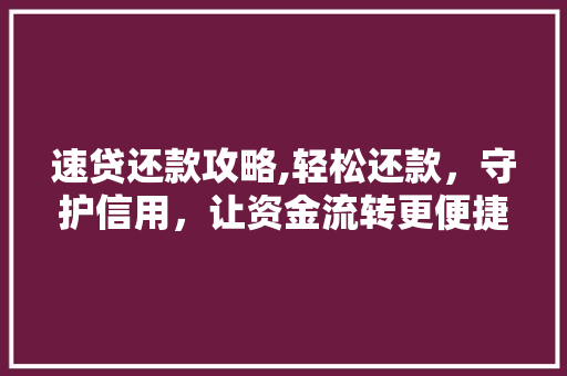 速贷还款攻略,轻松还款，守护信用，让资金流转更便捷