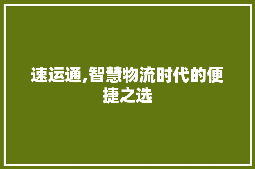 速运通,智慧物流时代的便捷之选