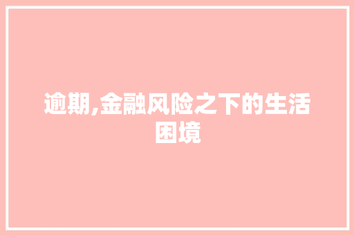 逾期,金融风险之下的生活困境 友链在线