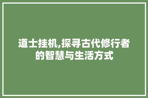 道士挂机,探寻古代修行者的智慧与生活方式 WordPress教程